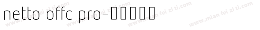 netto offc pro字体转换